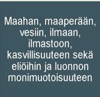 Tuulivoimahankkeen vaikutukset Natura-alueiden ja suojelualueiden suojeluperusteisiin kohdistuvat vaikutukset ilmenevät joko suorina tai välillisinä vaikutuksina.