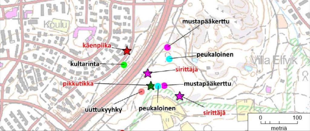 Kuva 11. Huomionarvoisten lintulajien reviirit Elfvikin metsäalueella ja kehätien länsipuolisella metsäalueella. 4.3.