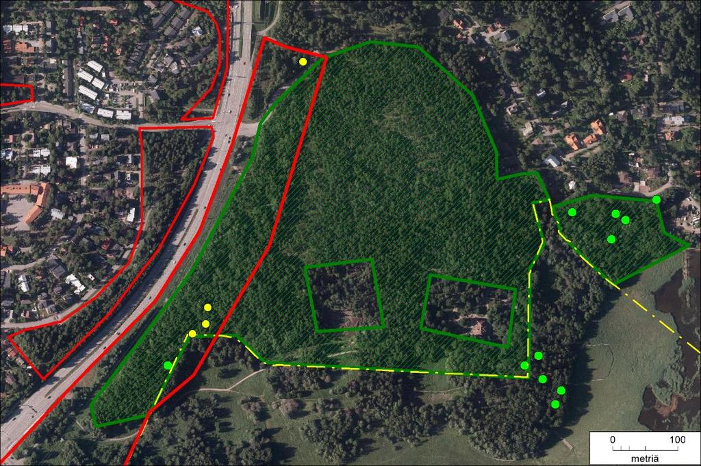 Näitä olivat mustapääkerttu (2 reviiriä), sirittäjä (2 reviiriä), kultarinta (1 reviiri) sekä pikkutikka (1 reviiri). Myös vähälukuiset lajit peukaloinen ja uuttukyyhky pesivät alueella.