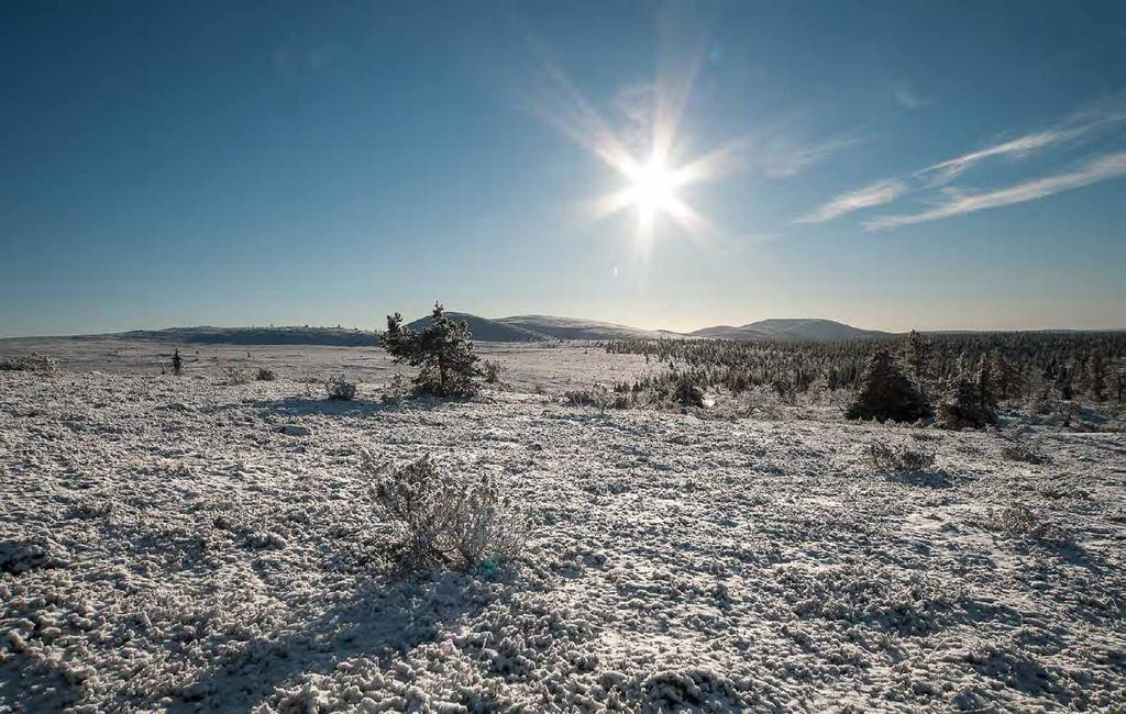 Kun ensilumi saapuu tuntureille, se on luonnon draaman kaarta syvimmillään.