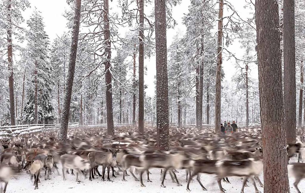 Poroerotus Nilivaaran kaartheela niin kuin meän perälä sanothaan.