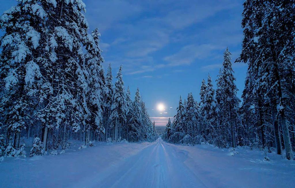 Pissiniemen metsätie täyden kuun valossa.