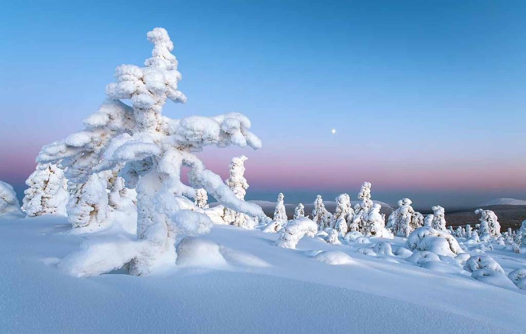 Kaamospäivä on lopuillaan. Pohjoisen taivaan vaaleanpunainen hetki pysäyttää lumikenkäilijän.