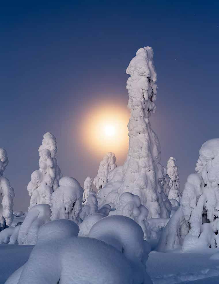 Tykkylumiset puut ovat arktisen luonnon kauneutta parhaimmillaan, lumikenkäilijän maailmaa, jossa
