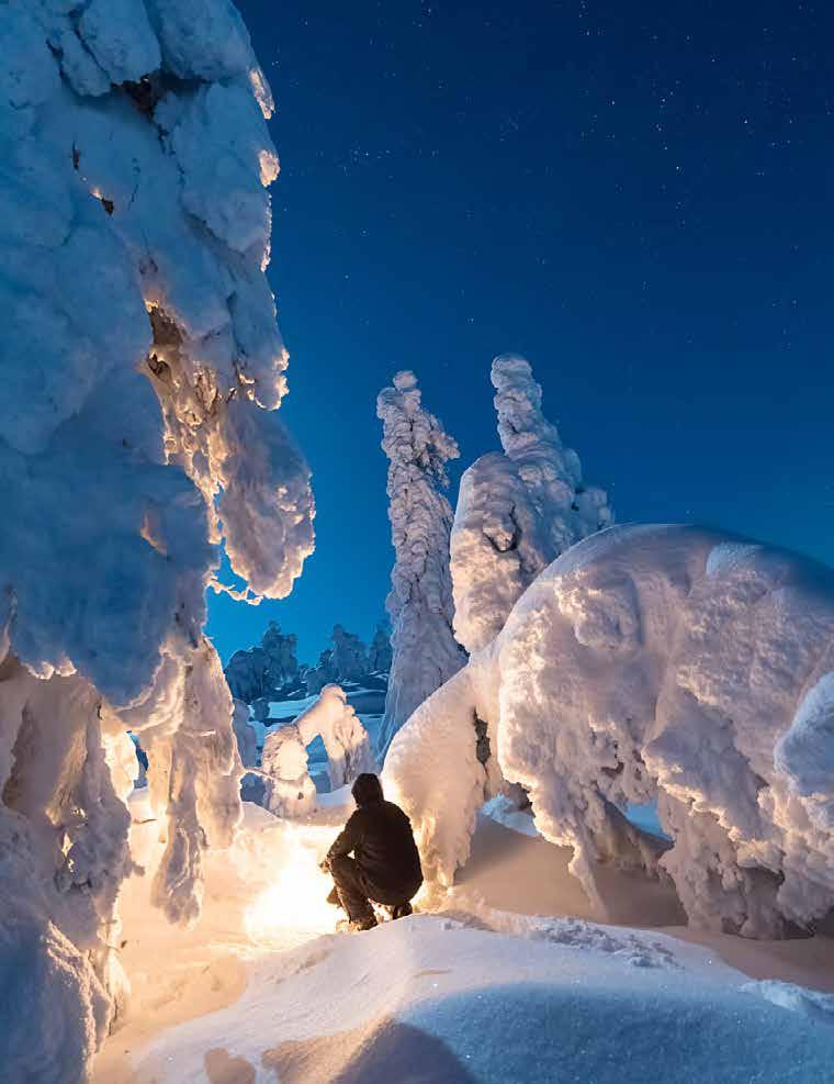 Kuerin tykkylumiset puut ovat erityisesti tunnettuja Sveitsissä.