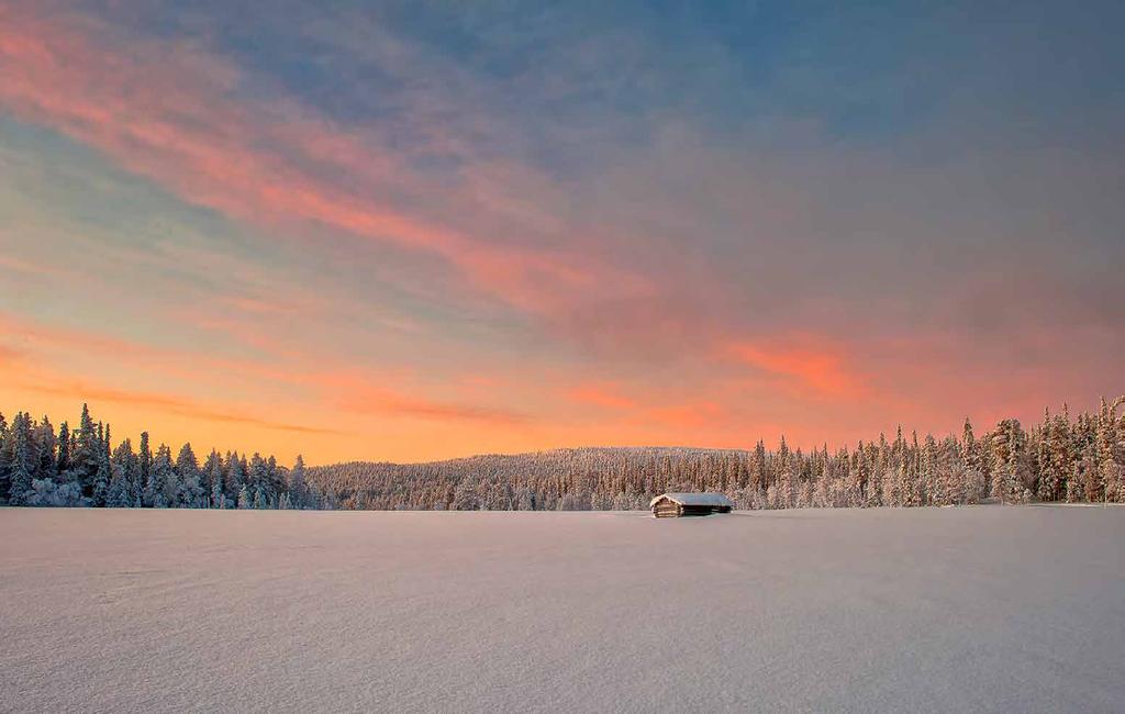 Kaamoksen sydäntalvi kääntyy hiljalleen kevättalveksi ja horisontin takaa paistava aurinko maalaa taivaan mitä