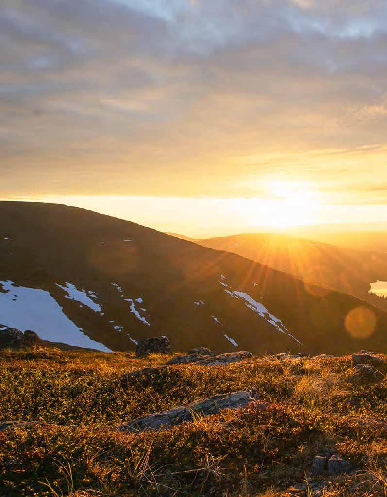 Lisää tarinoita ja tietoa Ylläkseltä osoitteessa www.destinationlapland.