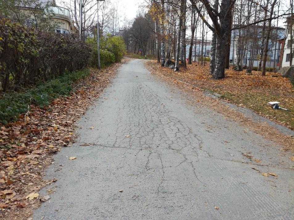 20 Kuva 8. Kuninkaanlähteenkatu. 4.2 Vertailu optimikuntotason mukaan Carement Oy:n materiaaleissa katujen kuntoa verrataan prosentuaaliseen optimikuntotasoon kadun jäännösarvon ja uudisarvon avulla.