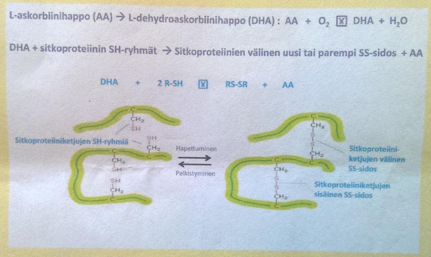 20 4.2.3 Askorbiinihapon vaikutus Askorbiinihappo (E 300) tunnetaan myös C-vitamiinina. Jauhoihin lisättynä askorbiinihappo toimii jauhonparanteena.