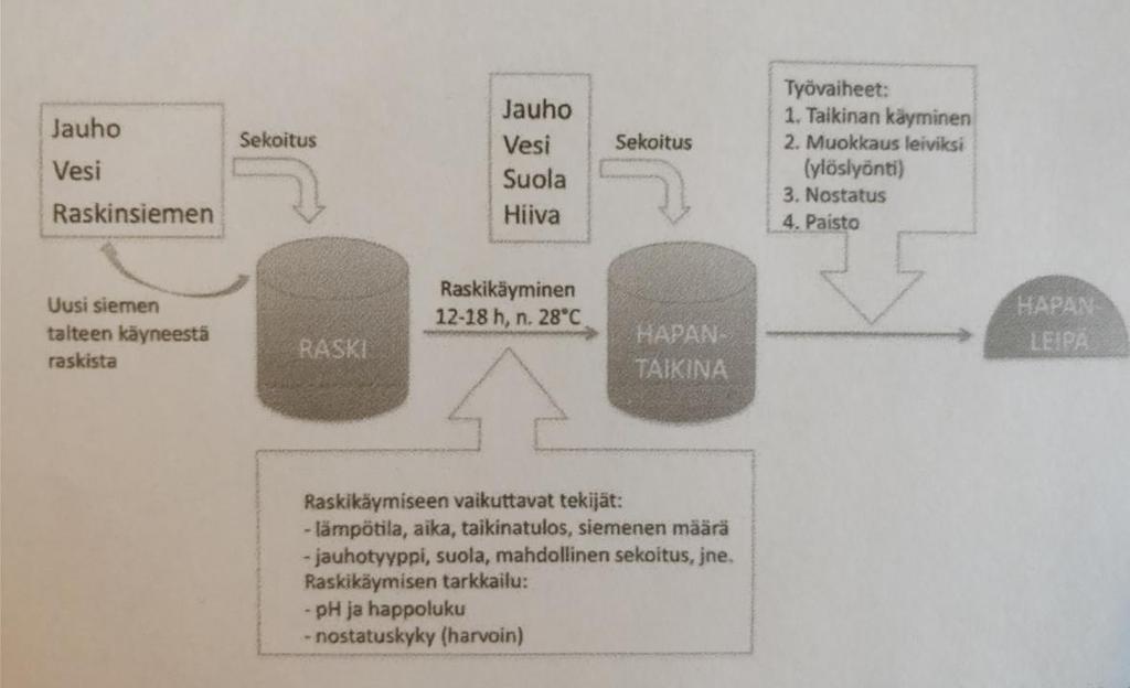 23 6. leivän nostatus 7. paisto. Kuva 15 Raskista valmistetun hapanleivän vaiheet kaaviona [23, s. 34.] 5.3 Raskin valmistus Ruisleivontaan kuuluu olennaisesti juuritaikinan eli raskin valmistus.