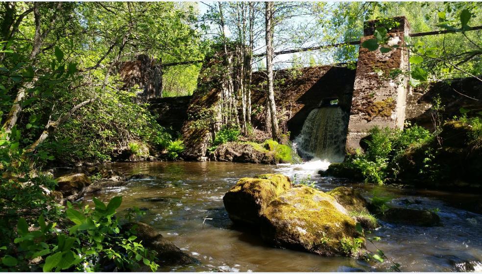 Karvianjoen simpukkainventoinneissa löydettiin jokihelmisimpukoita, sysijokisimpukoita, pikkujärvisimpukoita ja soukkojokisimpukoita.