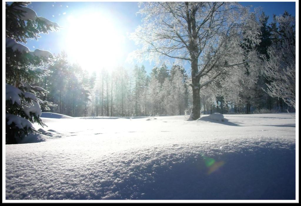 Kiitos kuluneista vuosista, Hyvää Uutta Vuotta kaikille!