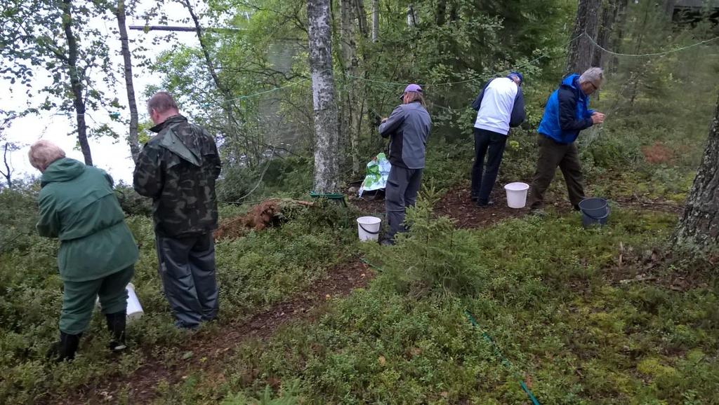 Puranen, Petri Mäkinen ja Tomi