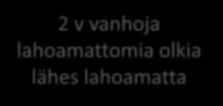 2 v vanhoja lahoamattomia olkia lähes