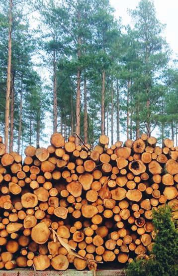 Puutuotteet muodostavat merkittävän hiilivaraston. Puun käyttöä rakentamisessa edistetään mm. tiedon lisäämisen ja julkisten hankintojen avulla.