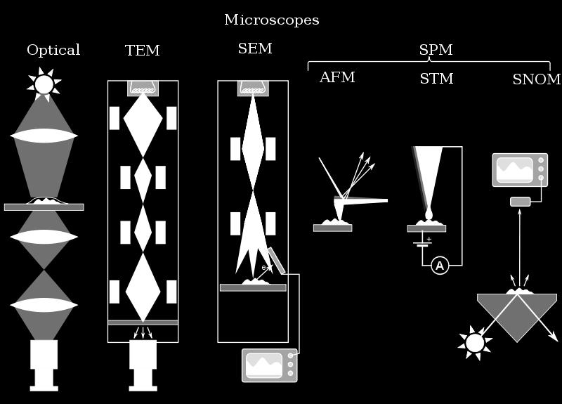 Kaavakuva eri mikroskoopeista Atomivoimamikroskopia Kohokuva