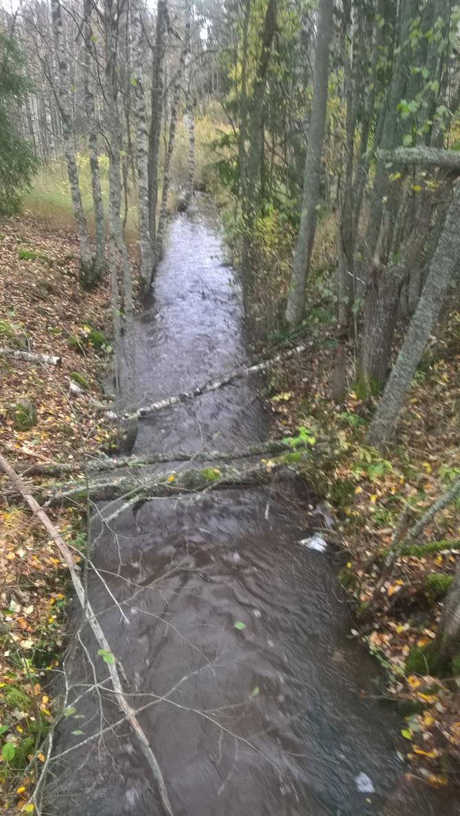 5 Kuva 3. Kallensillanojan näytepiste sillalta alavirtaan kuvattuna. 3.1.3. Ihanajoki Maunulan liittymäsilta (IHANAJ1) Maunulan liittymäsillan kohdalla valtaosa Ihanajoen kautta Nuutajärveen tulevista vesimääristä ja kuormituksesta on jo muodostunut.