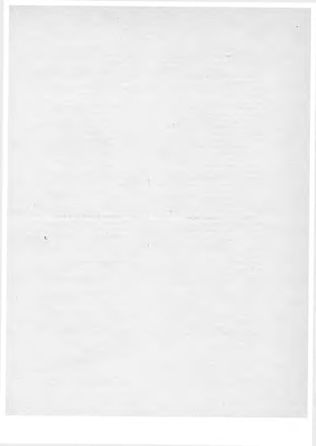 59 (*/,) kiertävä postitoimituksenhoitaja Elma Sammallahti... 28 p. kesäk. 28 p. elok.; sijainen: harjoittelija Sulo Susanna Huhtamäki. (,'%) postinhoitaja Helsingissä Alfred Ganvmal... Xp. elok, 1 p.