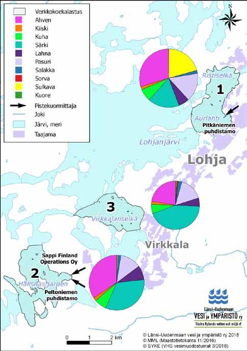 Virkkalanlahden vertailualueen ahvensaalis jäi biomassalla mitattuna noin puoleen Hållsnäsfjärdenin ja Aurlahti Ristiselän saaliista.