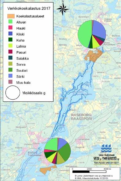 Kuva 4. Pohjanpitäjänlahden koekalastusalueet ja saalisjakaumat lajeittain vuonna 217.