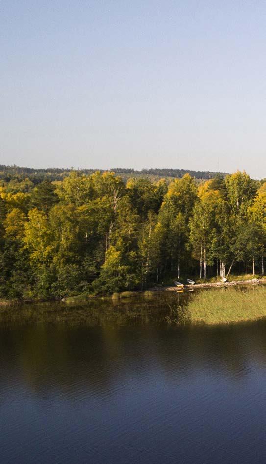 Arkkitehdin tervehdys Olemme hyödyntäneet As Oy Muuramen Lundintie 9:n suunnittelussa tontin ainutlaatuiset ominaisuudet.