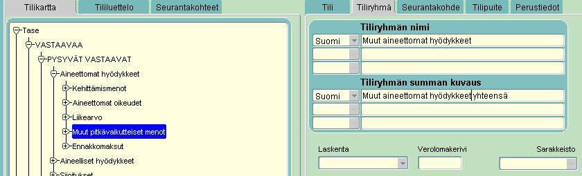 3) Klikkaa Tiliryhmän summan kuvaus kohdan selitettä.