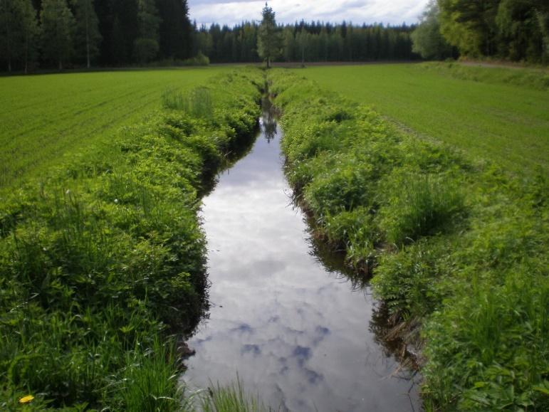 Ravinteet pellossa vaan ei vesistöön (lyhytnimi Ravinneresurssi)