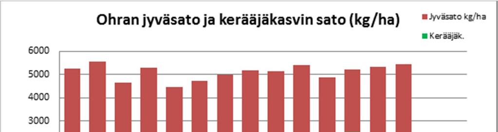 LOPPURAPORTTI 8 (10) Kuva 4.Ohran jyväsato viljatilalla vuosina 2015 ja 2016 (punaiset pylväät) ja kerääjäkasvien syyssato (kuivaainetta, vihreät pylväät). Huom.