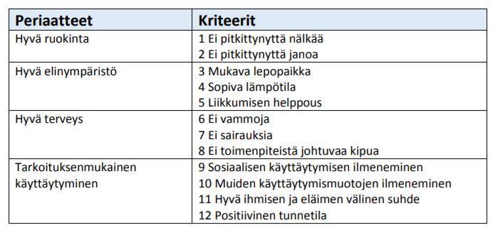 Koe-eläinten