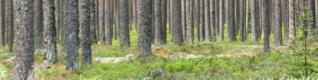 metsäluonnonhoidon yhteensovittaminen on