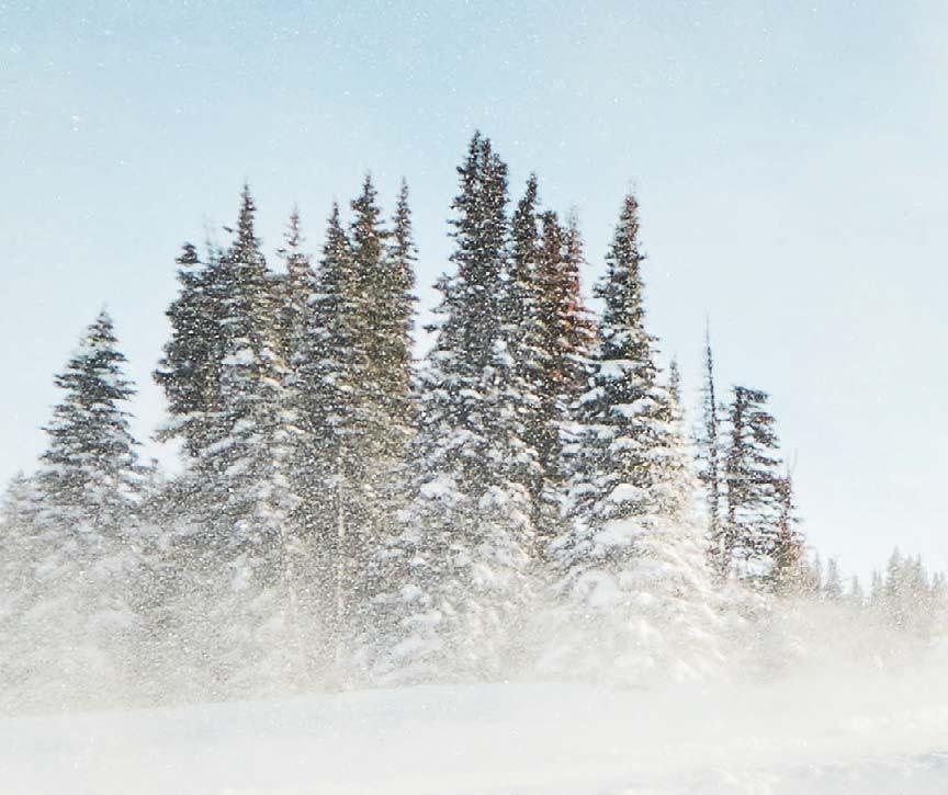 ajoosi lisää vapautta ja varmuutta.