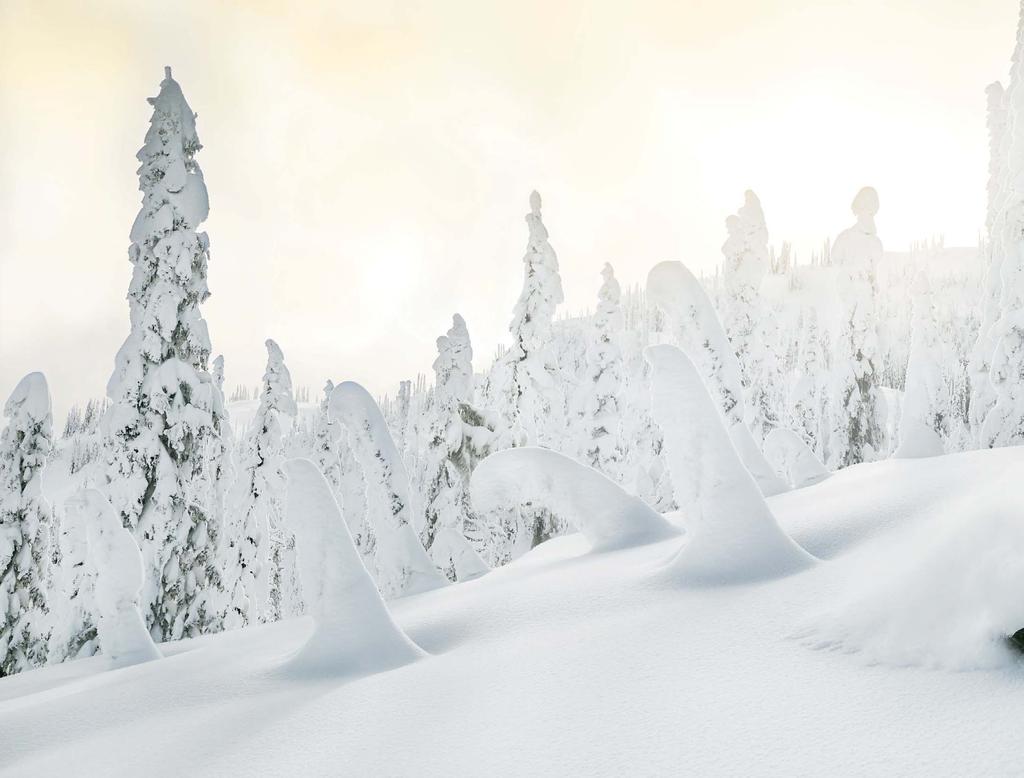 SYVÄ LUMI Ymmärrämme kaipuusi päästä ajamaan jyrkkiin rinteisiin ja koskemattomille hangille.