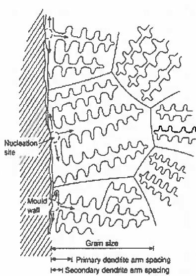jäähdytys - pieni lämpötilagradientti jähmettymisrintaman edessä Tasomaista jähmettymistä suosivat - pienet seosainepitoisuudet - Dendriittinen jähmettyminen on tyypillistä