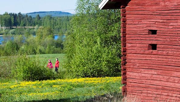 KUOPIOLAINEN