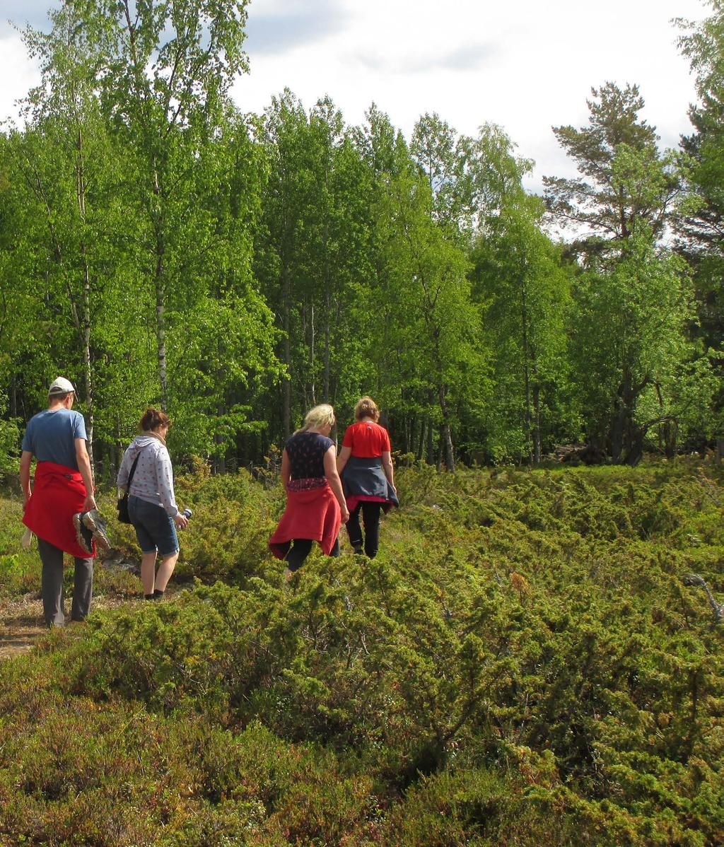 3 Tilaajan ja valvojan yleiset työtehtävät Valvojan tehtäviin kuuluvat seuraavat valvontatehtävät: yleisvastuulliset valvontatehtävät yleisvalvonta työmaan turvallisuuden ja ympäristön valvonta