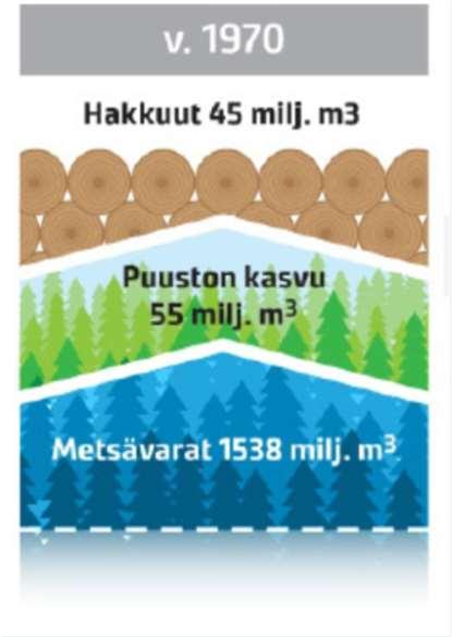 Minne hakkuut matkalla ja mitä siitä seuraa?