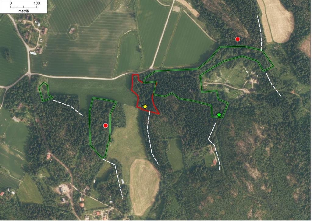 Kuva 3. Uudenmaan ELY-keskuksen rajaama liito-oravan lisääntymis- ja levähdyspaikka on rajattu punaisella ja liito-oravalle soveliaat metsäalueet vihreällä viivalla.
