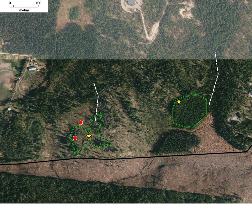 Kuva 6. Liito-oravalle soveliaat metsäalueet on rajattu vihreällä ja selvitysalue mustalla viivalla.