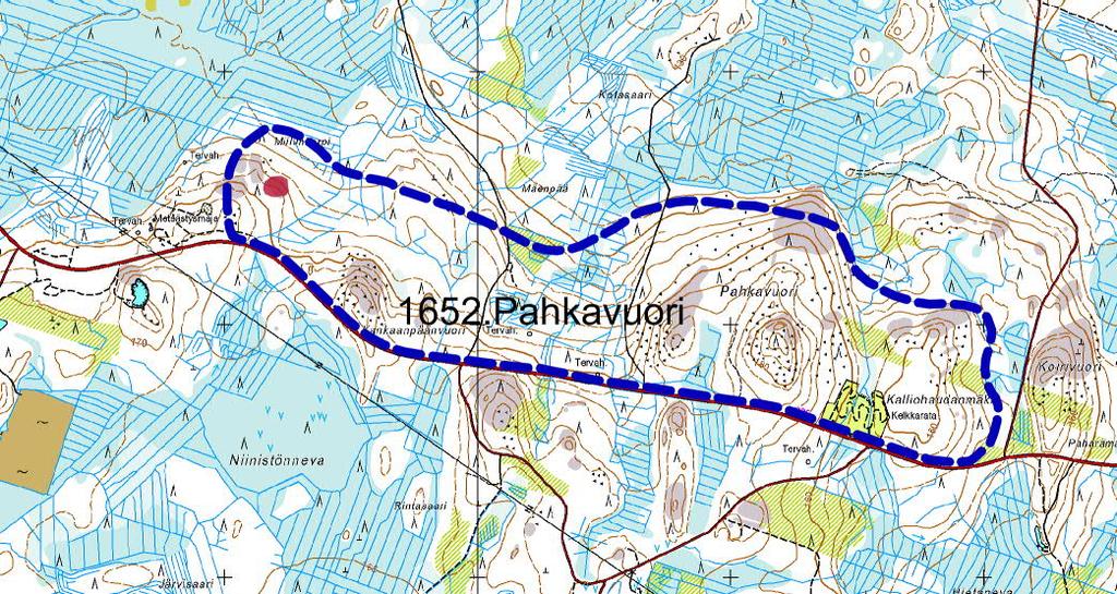 METSOJEN ELINTAVOISTA Metso on suurin metsäkanalintumme, joka suosii elinpiirinään tyypillisesti luonnontilaisia ja vanhoja havumetsiä.