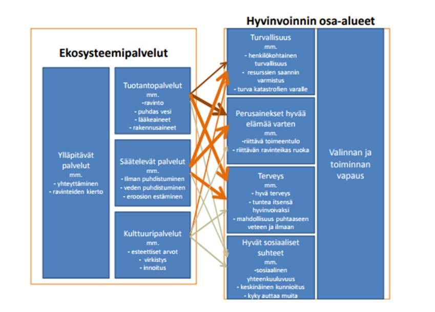 9:00 Ekososiaalinen