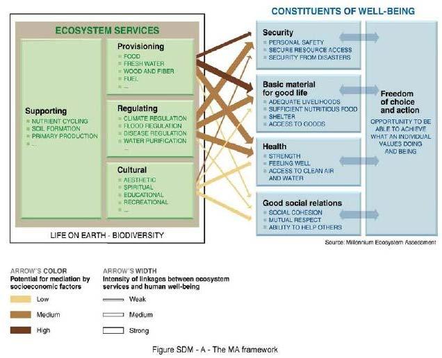 Ecosystem services based orientation Millennium Ecosystem