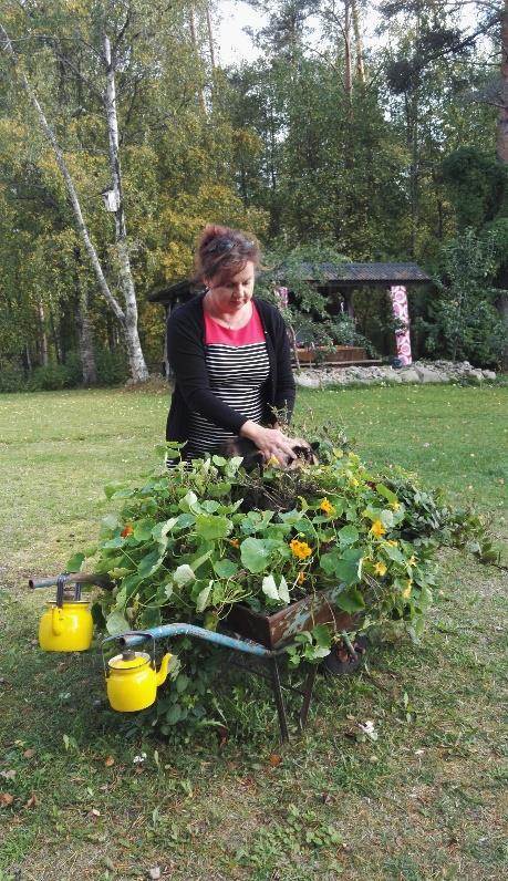 NÄIN SEN KOIN Vuodet isän omaishoitajana Alavieskassa asuvalle Marita Öljymäki-Maaralalle työ muiden hyväksi ei ole uutta. Marita on yhdistysnainen isolla N:llä.