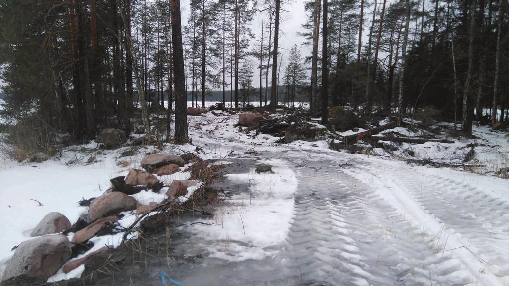 - 11-4. Kaiken kaikkiaan Kaikki vuoden 2017 Särkjärven tilan seurannassa mitatut parametrit ilmensivät karuja ympäristöolosuhteita ja erinomaista veden laatua.