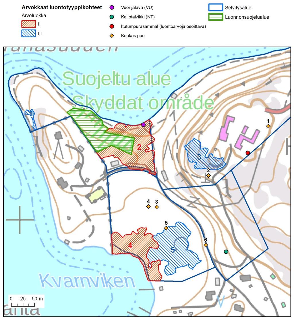 13 Kuva 3. Selvitysalueelta rajatut arvokkaat luontotyyppikohteet, huomionarvoiset kasviesiintymät sekä kookkaat puuyksilöt (numeroitu; ks. taulukko 2). Ks.