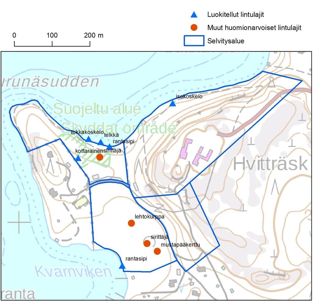 29 Kuva 9. Linnustoselvityksessä havaittujen luokiteltujen (valtakunnallisesti tai Uudellamaalla uhanalaisten) ja muiden huomionarvoisten lintulajien reviirien sijoittuminen.