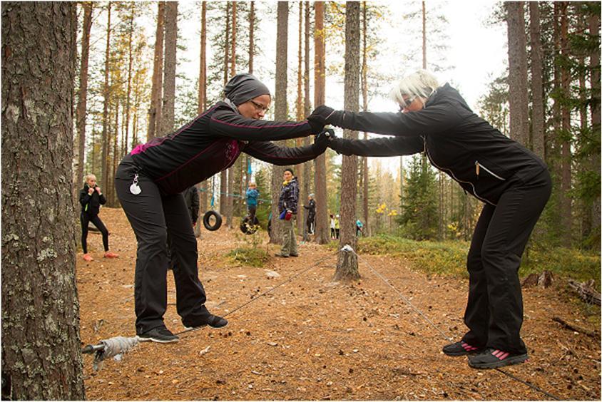 YHTEISTYÖ Yhden ammattilaisen tai yhden ammattilaisryhmän työllä lapset ja heidän perheensä harvoin saavat