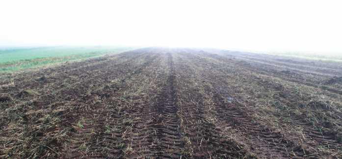 AGRONIC rapuohjauksella. AGRONIC-keinutelilietevaunut voidaan varustaa rapuohjauksella. Jousitetussa akselistossa kaikki akselit ovat kääntyviä. Rapuohjaus on HXA- vaunuissa vakiovarusteena.