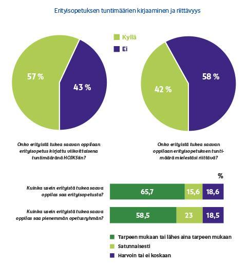 Lähes 35 % erityisen tuen oppilasta saa erityisopetusta vain satunnaisesti tai