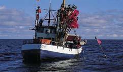 Agriculture, Forestry and Fishery