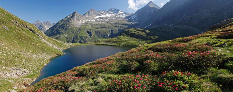 Viiden alppimajan vaellus ja Dachsteinin jäätikkö Patikointiaika n. 5 h (15 km), korkeusero n. 850 m. Melko helppo vaellus.